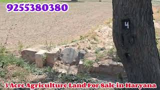 हरियाणा में 3 एकड़ ज़मीन बिकाऊ | Farmhouse Land for sale | 9255380380 | #sale