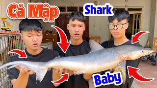 Hữu Bộ | Cá Mập Nướng Nghệ Siêu Ngon | Grilled Baby Shark