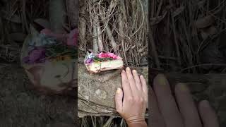 Giving #offerings #tree #uluwatu #bali #spirituality #spiritual #prayer #nature #prayer #flowers