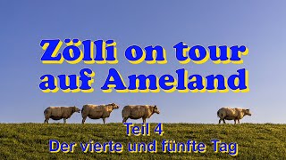 Zölli on tour auf Ameland Teil 4 (Der vierte und fünfte Tag)