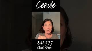 Detour | Cenote #3 #schizophrenia #dimensions #mkultra