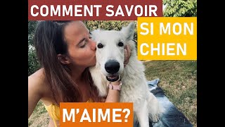 10 FACONS POUR VOTRE CHIEN DE VOUS DIRE JE T'AIME ✿ EnjoyingLife