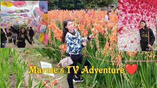 Santin Flower farm (Part 2 ) @yuen long #Hongkong Vlog🇭🇰