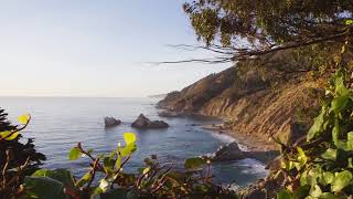 Big Sur Stock Footage Trip