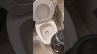 Quick tip on how to flush a toilet without touching it