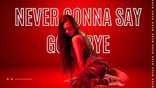 Never Gonna Say Goodbye | Female Version