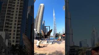 Burjkhalifa Dubai Mall🇦🇪#dubai #uae #shorts #ytshorts