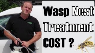 Wasp Nest Removal or Treatment Cost - Reading, Newbury, Basingstoke - Berkshire