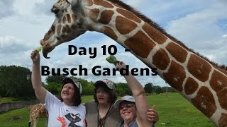 Florida Holiday 2015 - Day 10 - Busch Gardens