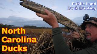 Duck Hunting at North River Gameland Waterfowl Impoundment