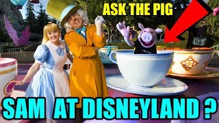 DISNEYLAND & DANCING SPIDERMAN ?? Q & A | SamTheHamTV