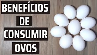 BENEFÍCIOS DE CONSUMIR OVOS | Pode consumir ovo todo dia? |Tudo sobre o ovo | DAIANE SALUSTRIANO