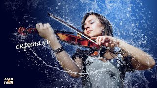 Ukrainian Music. Violinist. Українська музика. Скрипаль.