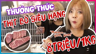 "Cháy Túi" Với Miếng Thịt Bò Gần 500$!!! Ăn Sấp Mặt Với Ohsusu TV