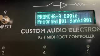 Custom Audio Electronics RST 16 Midi Foot Controller Overview