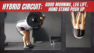 Hybrid circuit: Good mornings, hand stand push ups, leg lifts