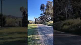 what a speed of kangaroo #kangaroo #speed