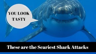 Scariest Shark Attacks (Warning: Intense Video)