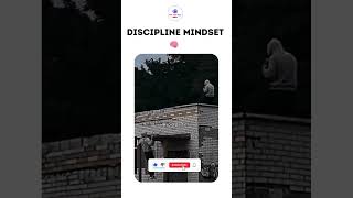 Discipline mindset 🧠 #boxing #motivation #winnermentality #boxinginspiration #championmentality