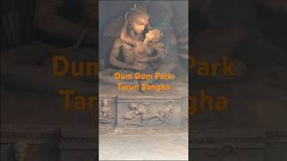 Dum Dum Park Tarun Sangha #youtubeshorts #durgapuja2024 #durgapuja #durga #kolkatafestival #shorts