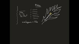 august 17th notes experimental biology