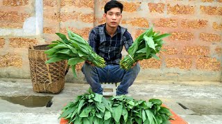 Harvest green vegetables to bring to market and raise livestock | Triệu Văn Tính