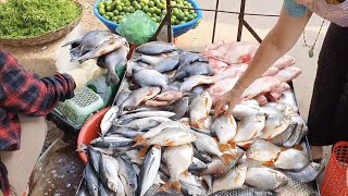 People sell bees, fish, crab, vegetables, and fruits, market activity, Life at the market