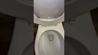 2000s Kohler Cimarron Toilet Flushing!