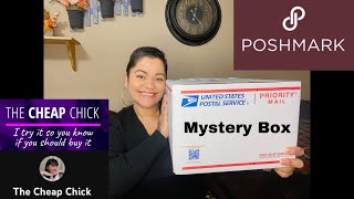 Poshmark Mystery Box from @TheCheapChick + Try On!