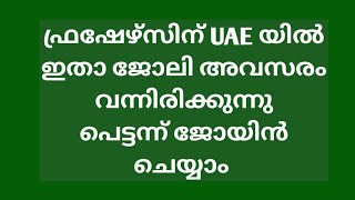 uae യിൽ ഇതാ ഫ്രഷേഴ്സിനും ഒഴിവുകൾ വന്നിരിക്കുന്നു