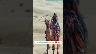 Rajasthan-The Royal Cultural Centre in 60 sec #trending #shortsviral #shorts #youtubeshorts