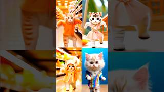 Billi ka dance_patali kamariya bole hay #cat #dance #youtubeshorts