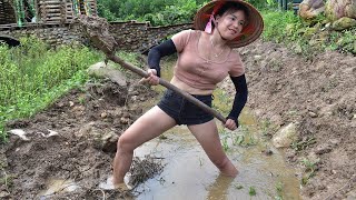 Building farm alone. Complete Wooden Bridge and Canal Clearing. Building Farm - Gia Bảo