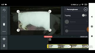 CARA PANGKAS VIDEO DENGAN APLIKASI KINE MASTER