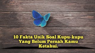 Fakta Menarik Tentang Kupu - Kupu Yang Jarang Kalian Ketahui #faktaunik #kupukupu #faktamenarik