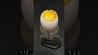 egg vs 1000 degree steel ball #shorts #egg #cook #ball