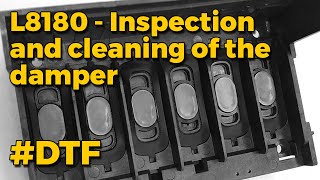 DTF L8180 (ET-8550) Damper inspection and cleaning