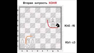 Первый шах.  Видеоурок 9.  Конь