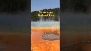 Yellowstone Adventures: Hiking, Wildlife & Natural Wonders in Wyoming's Iconic Park