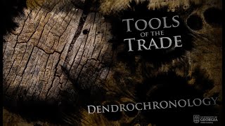 Dendrochronology | UGA Experimental Archaeology