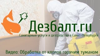 Обработка от клопов горячим туманом