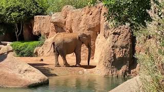 Bioparc Valencia