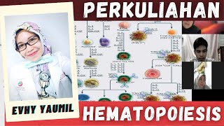 PERKULIAHAN HEMATOPOIESIS