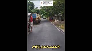 Melonguane