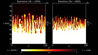 Rayleigh-Taylor instability in confined porous media: Experiment (Hele-Shaw cell) vs Simulation