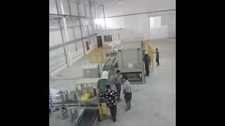 Palletizing robot line...