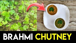 Brahmi chutney | Ondelaga Chutney Recipe