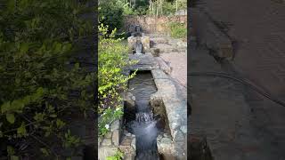 Relaxing waterfalls #shorts #colombian