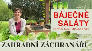 Salátu je potřeba mít dostatek #zahrada #zahradnizachranari #garden #rada #salat #vysev #zahradnik