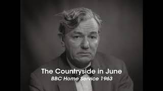 The Countryside in June (30th June 1963)